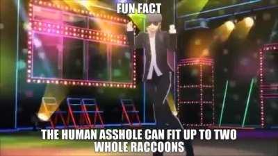 raccoon seck????????????????