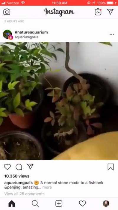 Oh my god these aquarium accounts need to STOP posting animal abuse like this.