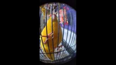 Miss moxxi thinks you look like a snacc ;)