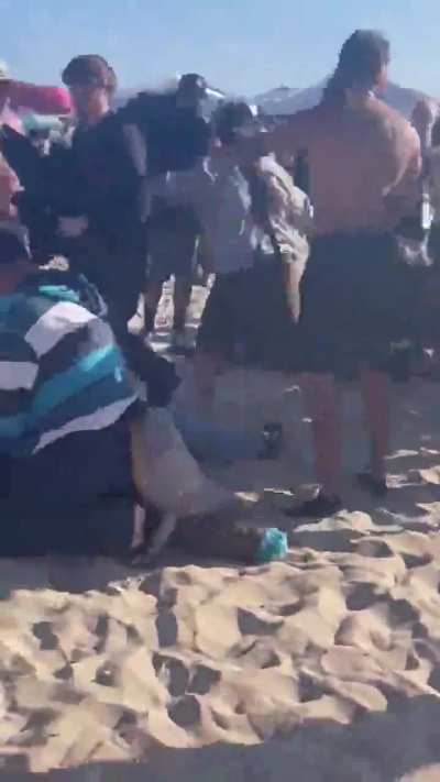 Daytona Fatal Furry XXV: Spring Break Snout Brawl
