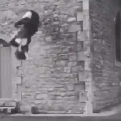 A video of a possesed woman?