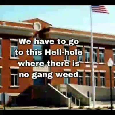 Top Reasons why School Sucks Ass