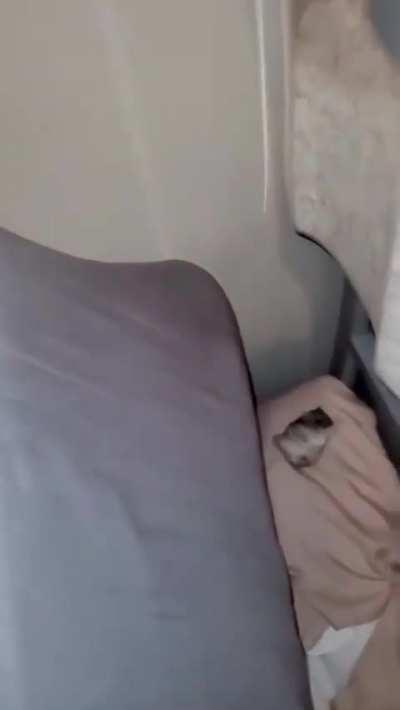 Should have payed attention in class.