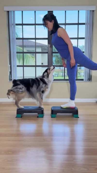 Gym partners come and go, but this good boy is forever.