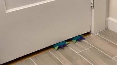 Got my husband monster slippers for Christmas, this is how he says hi when I’m pooping 😂😂😂