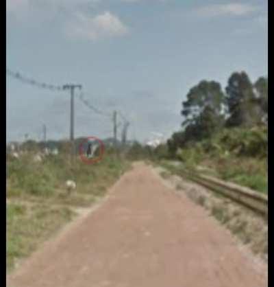 Had a nightmare today where random pictures of places around my city had shadow figures on them and i was being shown a slideshow while a glitchy version of clair de lune played in the background