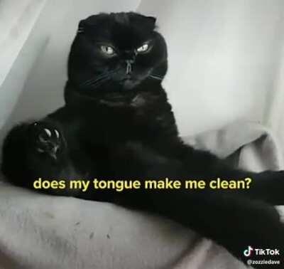 To be or not to be. Is that the question?