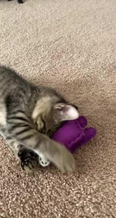 I watched brown kill purple!! (In other words I made my cat an among us toy and I’m having way too much fun)