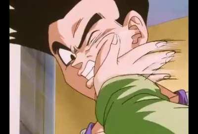 Bro felt Goten's PTSD from that Chi-chi slap