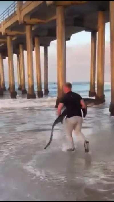 Guy Puts Shark Back In Ocean