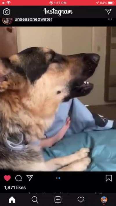 saddest boi of the year ;(