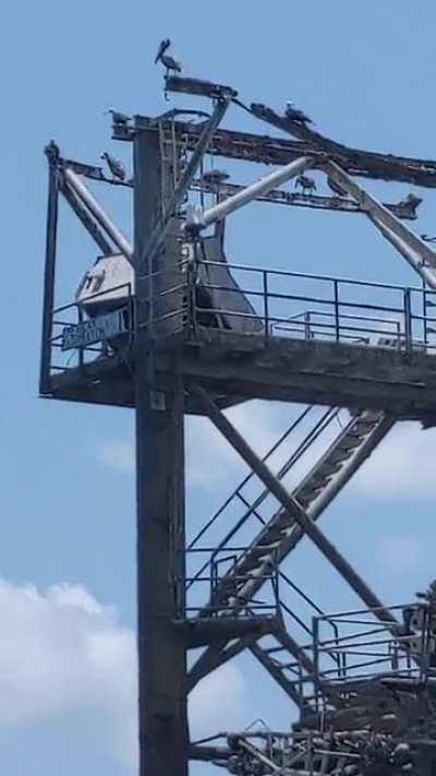 Abandoned platform. This one still beeps.