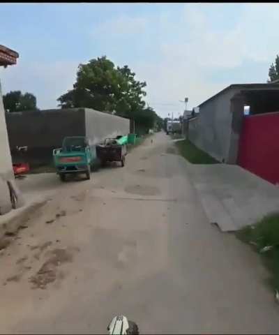 köpek bana havladı sinirlendim