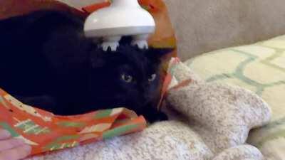 Husband got me this head massager, and all it did was pull my hair. TLDR: Void got a head massager.