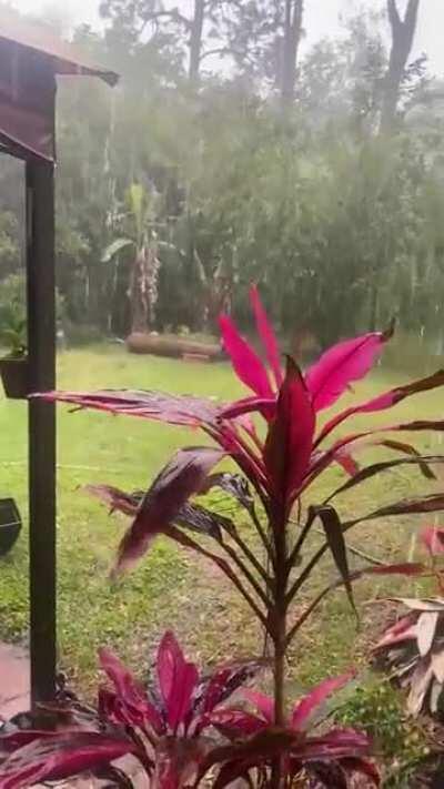 Gainesville, Florida