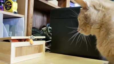 Harley with the box!