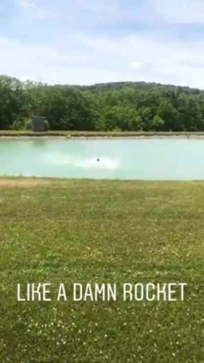 Pupper wastes no time getting in the lake