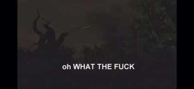 Does this fit your needs