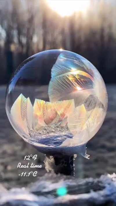 Freezing a bubble in 12 degree weather