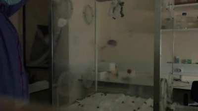 Bees don't fly in the dark