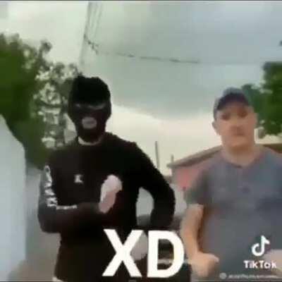 Dança gatinho dança