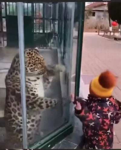 [ Removed by moderator ]