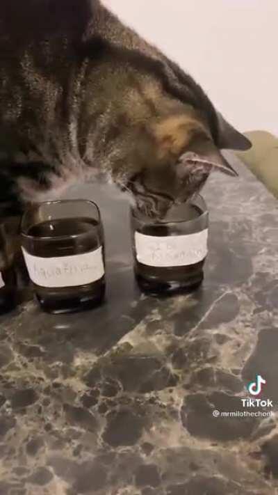 Bottled water taster
