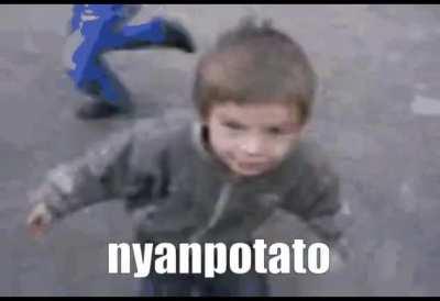 Nyanpotato