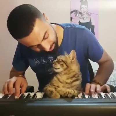 No meio de tanto meme toma um vídeo fofo pra alegrar teu dia