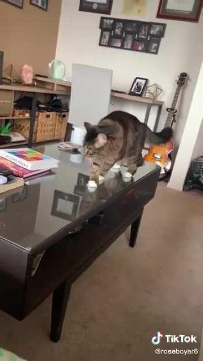 They stuck the landing