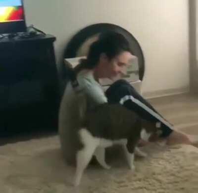 Demonstrating the proper way