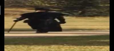 Ben vebayı bitirmeye giderken: