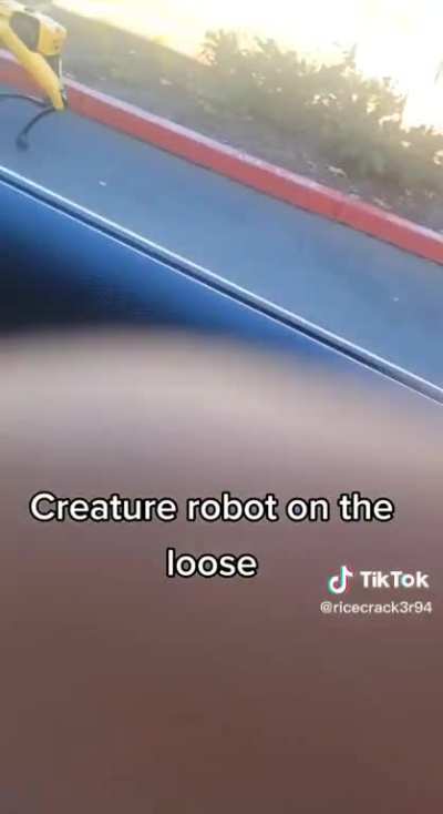 this one is on the loose