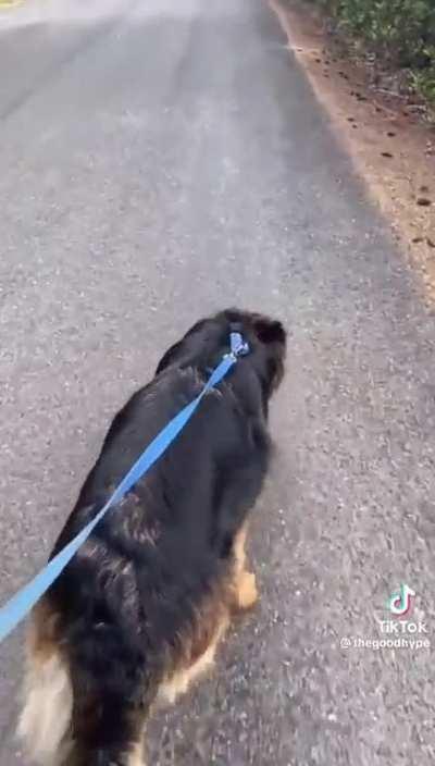 Gotta speak their language