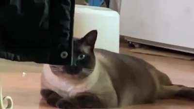 ту-ду тун ту ту-ду, ту-ду тун ту ту-ду, ту-ду-тууууууу ту-ту-дуууууу...