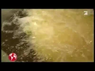 Hat Jumbo das N-Wort gesagt? 😱🤭