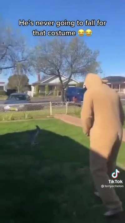 Just a guy being a kangaroo mom