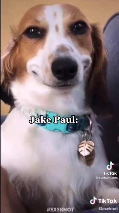 Jake paul choosing his opponents