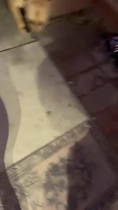 K/O My neighbor was talking shit to my kids, so I tried to tell him to talk to me instead & this is how it went!