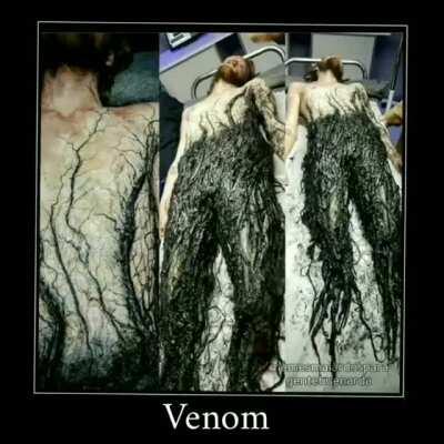 Fuera de pedo, ¿alguien sabe qué madres le pasó?