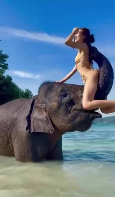 fun with elephant...:D