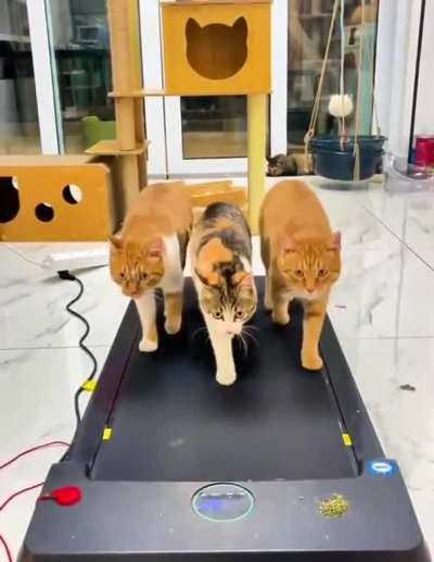 When there is one lane free in the hall, and you and your friend decided not to waste time