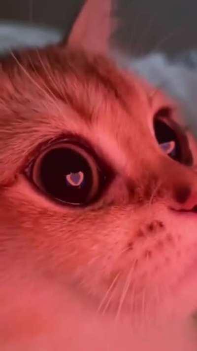 what are those eyes 😍