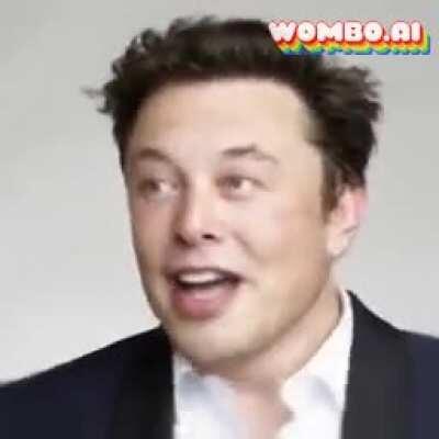 Who let the doges out?