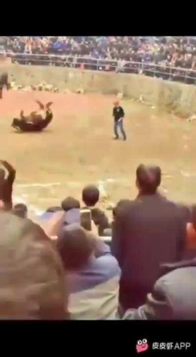 Face your problems head on