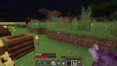 Chorus Fruit is a scam