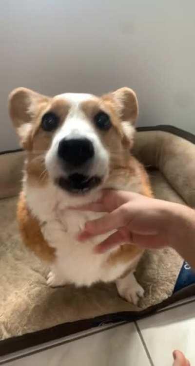 Brady is warming up his pipes for his concert later.