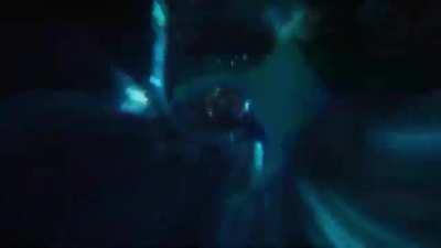 The Tame Impala Experience