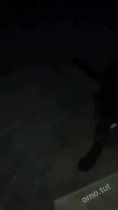 Ой блядь, извините.