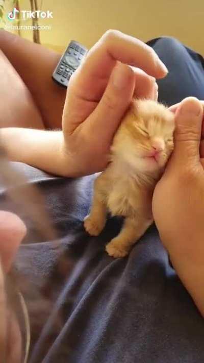 What a criminal (credit to @lauraneiconi)